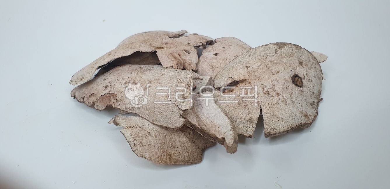 포도근,한약,약초,동의보감,약재,한의원,한약재,한의학,중의학,탕약,보약,허브,야생초