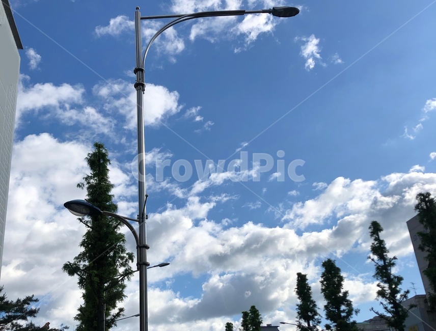 lamppost,램프포스트,하늘,낮,비온뒤,날씨,나무