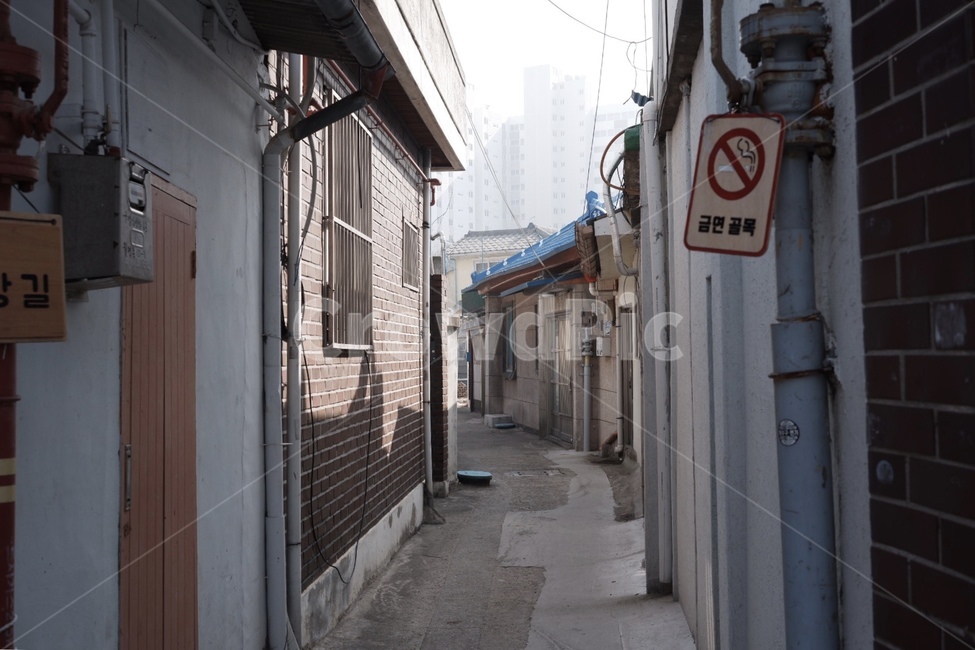 골목길,골목,길,집,길목,골목길,alley,town,도시,road,도로,city,시티,street,거리,building,건물,urban,어반