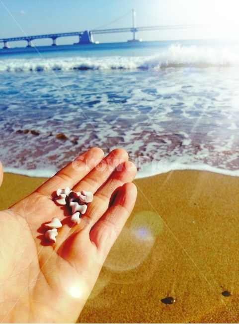 water,물,해안선,바다,자연,감성사진,해변,바다,beach,sea,신체일부,몸,body