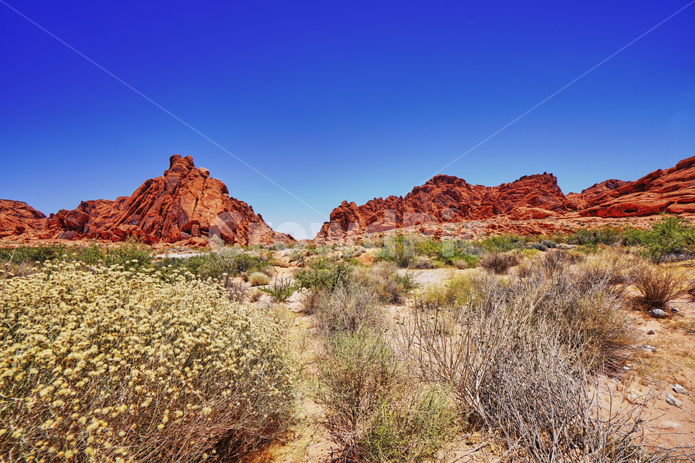 불의계곡,valleyoffire,건조한,dry,풍경,파란하늘,red,rock,바위,자연,풍경,nature,landscape,해외,외국,세계,foreign,oversea,world,세계자연풍경,해외자연풍경,외국자연풍경,world nature landscape,outdoors,옥외
