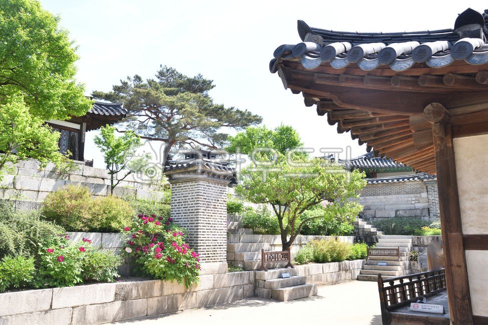 창덕궁,낙선재,후원,화계,봄,봄경치,봄꽃