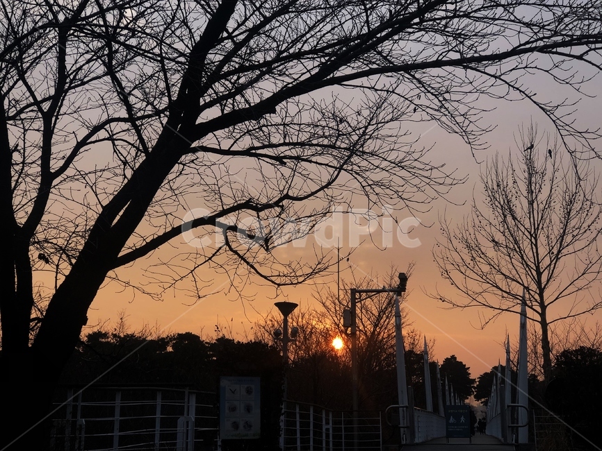 자연,nature,황혼,일몰,sky,sunset,붉은하늘,하늘,노을,붉은노을,나무