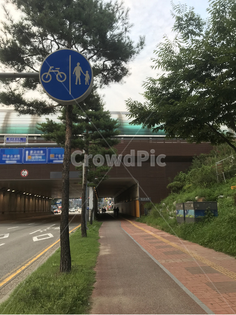 자전거도로,자전거도로표지판,자전거공용도로,가로수,표지판,자전거표지판
