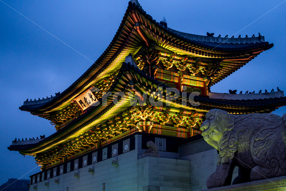 광화문,서울,해태,경복궁,한국,역사,전통,랜드마크,문화,문화재,야경,한국전통,한국문화,korean traditional,korean culture,랜드마크,landmark,tourist attraction,한국랜드마크,한국관광지,한국명소,korea landmark,korea tourist attraction