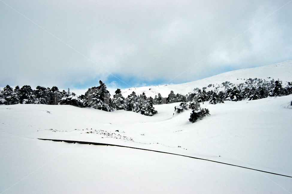 한라산,제주도,영실코스,설경,눈,겨울,설화,겨울,계절,winter,season