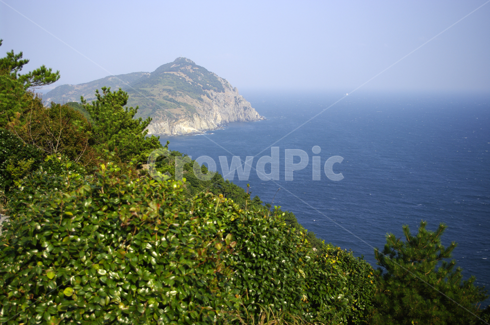 바다,섬,풍경,나무,하늘,자연,풍경,nature,landscape,한국자연풍경,한국자연경관,korea nature landscape,promontory,곶,outdoors,옥외