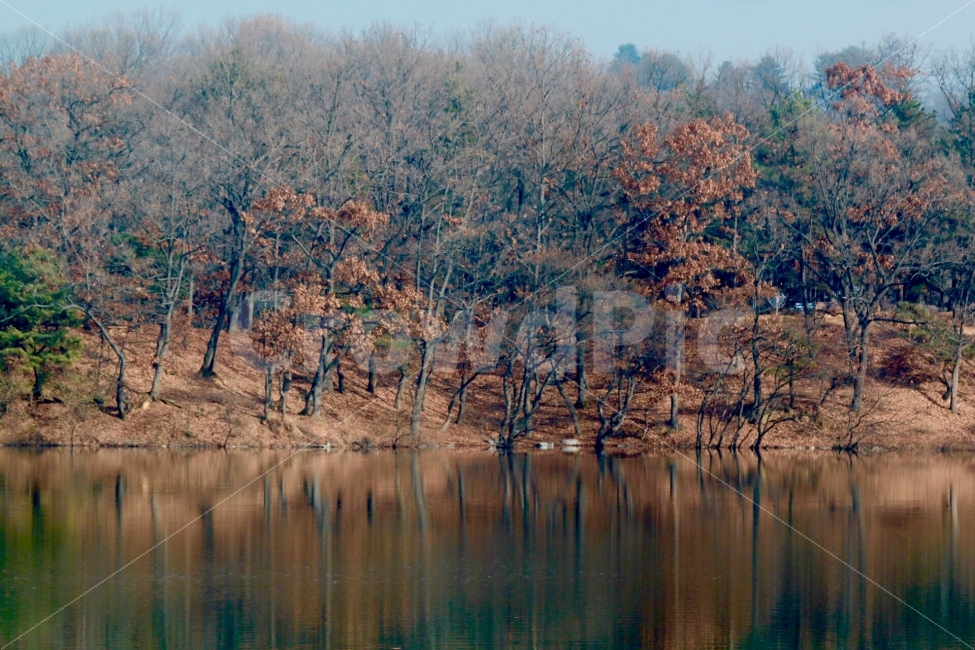 나무,호수,반사,저수지,자연풍경,감성사진,배경사진,자연사진,겨울나무사진,나뭇가지,연못,자연,풍경,nature,landscape,겨울,계절,winter,season,water,물,outdoors,옥외,tree,plant,식물