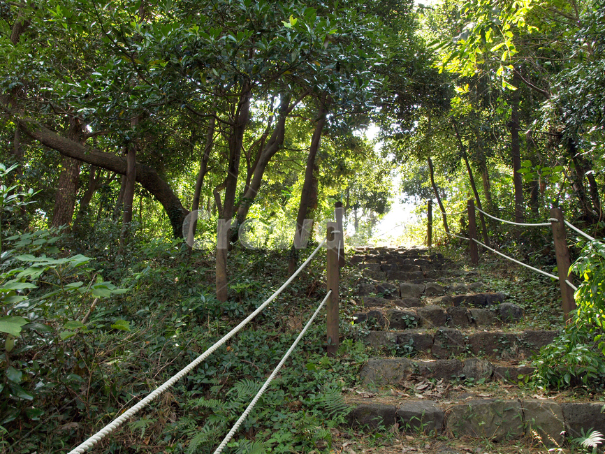 토산봉,망오름,오름,산책로,올레4코스,올레길,제주,서귀포시,목책,자연,풍경,nature,landscape