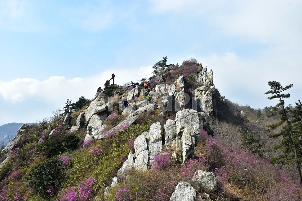 주작산,덕룡산,종주,진달래,풍경,기암,바위,비경,봄풍경,진달래꽃,강진,명산,산행,등산,마운틴,힐링,mountain,landscape,자연,natural,봄,계절,spring,season,자연,풍경,nature,landscape,한국자연풍경,한국자연경관,korea nature landscape,outdoors,옥외,cliff,낭떠러지
