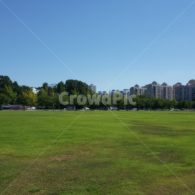 자연,잔디,하늘,여름,초록,도시,풍경,city,landscape,한국도시풍경,한국도시경관,korea cityscape,grass,plant,식물,lawn