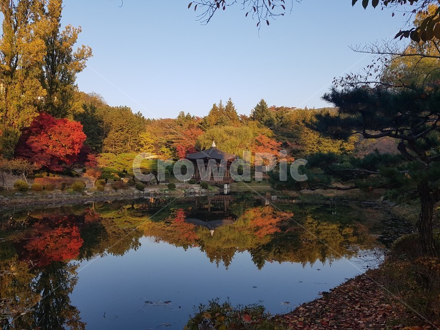 경주,보문정,보문단지,가을,단풍,경북,풍경,호수