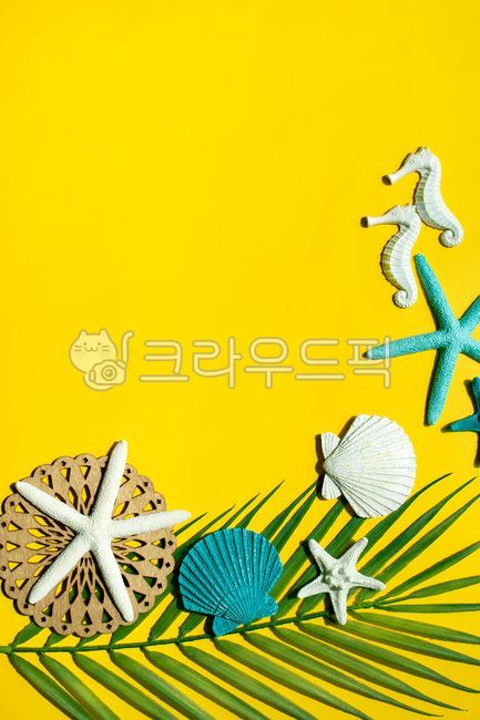 노랑색,야자수,야자나무,야자,자연,조개껍데기,조가비,여름,조개,더운,핫,컬러풀,배경,리조트,트로피컬,도안,미술,삽화,노란색,옐로우,바다,노랑,휴가,방학,열대,데코,공휴일,그린,다채로운,계절,장식,컨셉,오브젝트,여름이미지,해마,불가사리,해산물,블루,유아틱한,밝은,해양,카피스페이스,노랗다,비치,해안가,해변,sealife,해양생물,animal,동물,여름,계절,summer,season