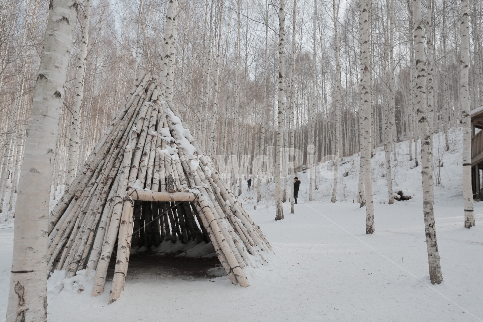 자작나무,자작나무숲,인제,설경,겨울,풍경,snow,눈,landscape,겨울,계절,winter,season,자연,풍경,nature,landscape,한국자연풍경,한국자연경관,korea nature landscape,식물,plants,나무,trees,wood,building,건물,outdoors,옥외,person,사람,human,인간,rural,농촌,hut,오두막