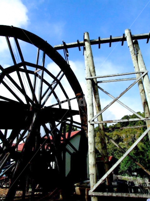 물레,나무,자연,기구,농기구,spinningwheel,tree,wood,nature,natural,agriculturalimplement,farmingtool,푸른,초록,green,sunny,맑은,날씨,weather,풍경,배경,배경사진,풍경사진,평화로운,분위기,차분한,차분함,평화로움,scene,atmosphere,calm,peaceful,tranquil,still,background,감성사진,ambience,사물,물건,오브젝트,thing,object,matter