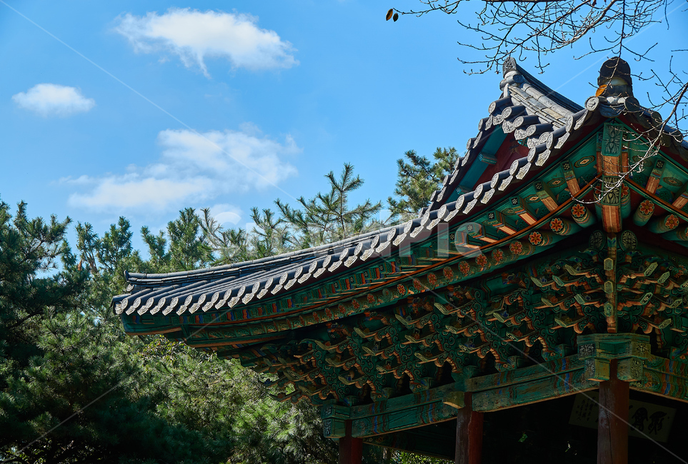 architecture,건축물,building,건물,한옥,기와,패턴,문양,건물외관,문화재,전통,한국문화,temple,koreatrditional,koreaculture,한국전통,한국문화,korean traditional,korean culture,건축물,건물외관,exterior,building,structure,architecture,construction