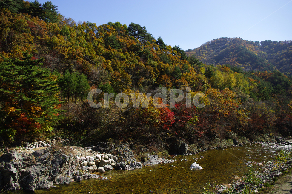 가을,산,강,풍경,단풍,가을,계절,fall,autumn,season,nature,자연,outdoors,옥외