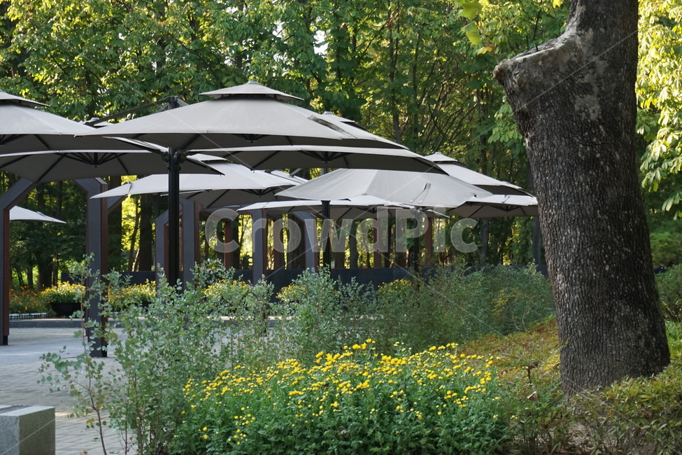 patio,안마당,마당,parasol,파라솔,park,공원,시민의숲,양재시민의숲,양재시민의숲,시민의숲,yangjaepark,yangjae,yanjaeforest,yangjaecitizenforest,자연,풍경,nature,landscape,tent,텐트,porch,현관