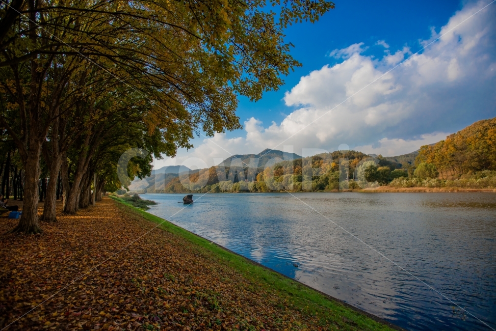 풍경사진,단풍나무,강,하늘반영,구름,자연,풍경,nature,landscape,가을,계절,fall,autumn,season,water,물,outdoors,옥외