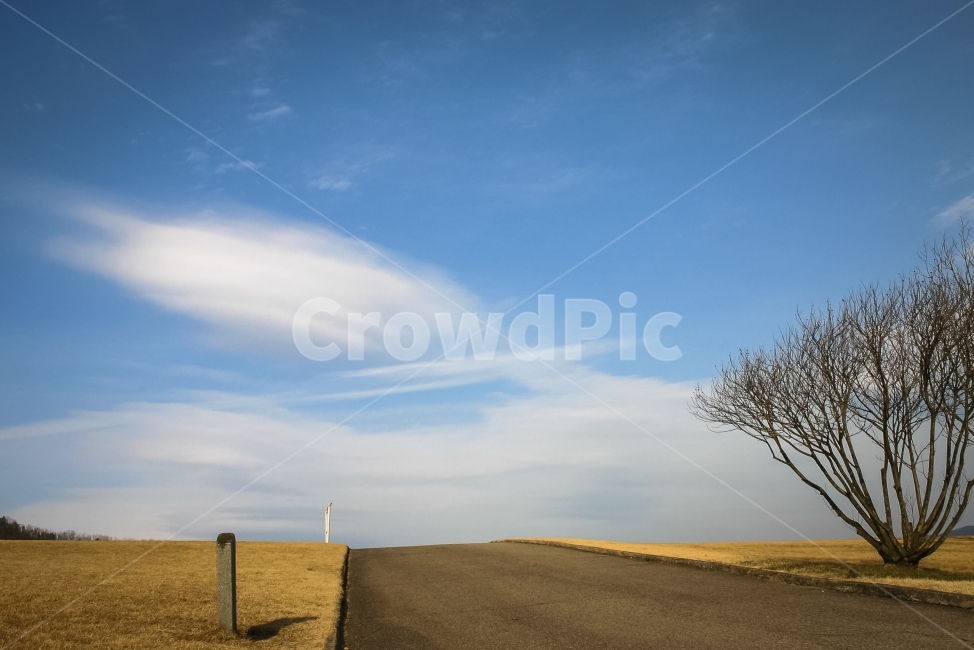하늘,파란하늘,나무,언덕길,언덕,길,표지석,하얀구름,풍경,자연,풍경,nature,landscape,outdoors,옥외,soil,흙,field,들,grassland,목초지