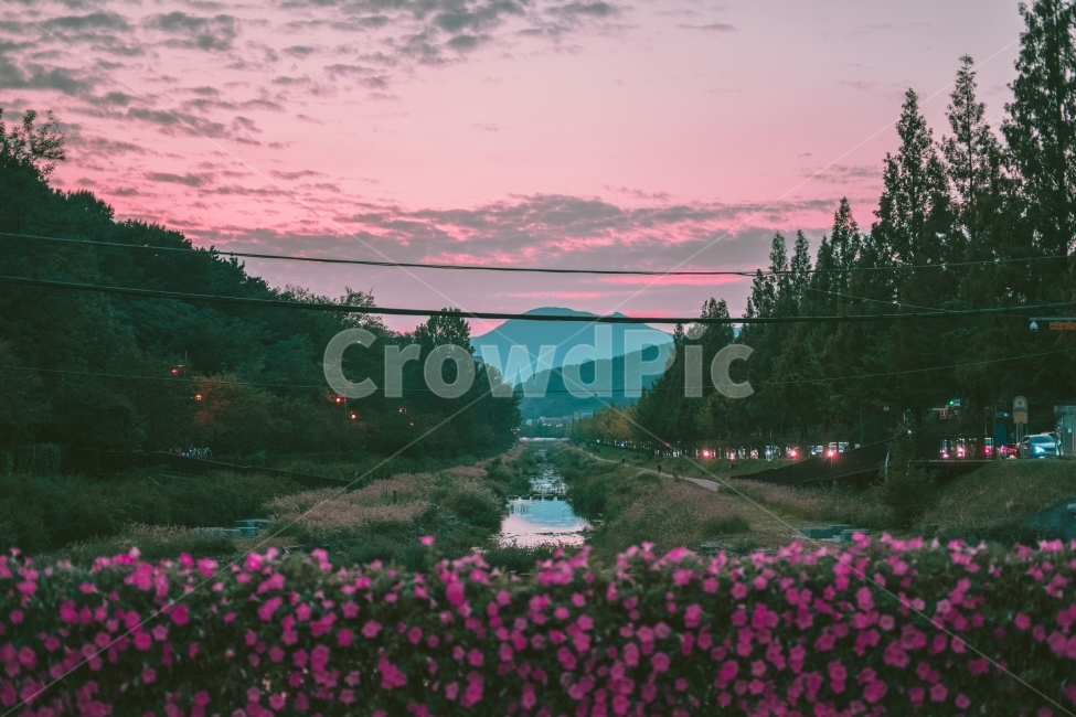 노을,강,반영,산,들,자연,풍경,nature,landscape,감성,sensible,feeling,색깔,색상,색채,색감,color sense,color sensitivity,feeling of color,plant,식물,tree,나무