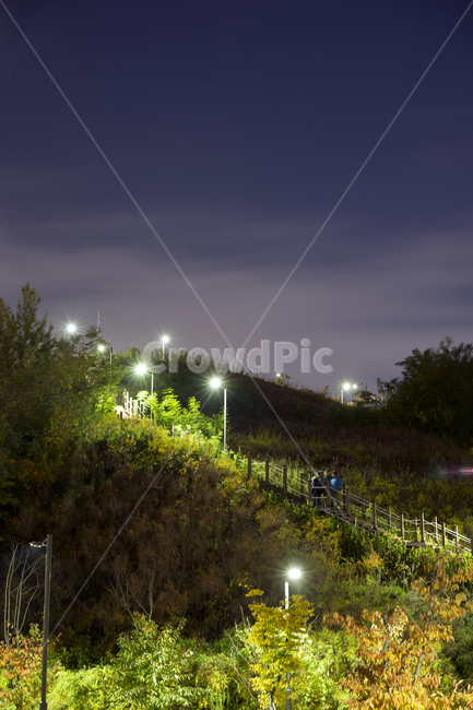 공원,가을공원,가을,야경,밤,가을,계절,fall,autumn,season,자연,풍경,nature,landscape,야경,밤,nightscape,night,light,빛,flare,플레어
