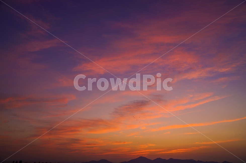 노을,석양,새,구름,하늘,자연,풍경,nature,landscape,outdoors,옥외,dawn,새벽,red sky,붉은 하늘,sunset,일몰,sky,dusk,황혼