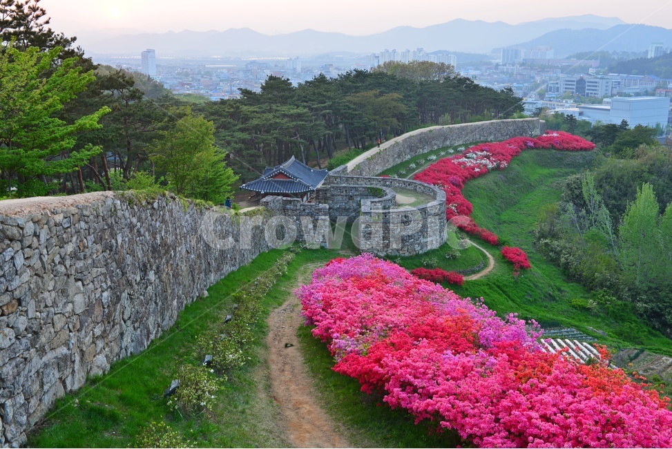 전북,고창,고창읍성,모양성,모양성봄,철뚝,철쭉꽃,봄,계절,outdoors,scenery,풍경,nature,자연