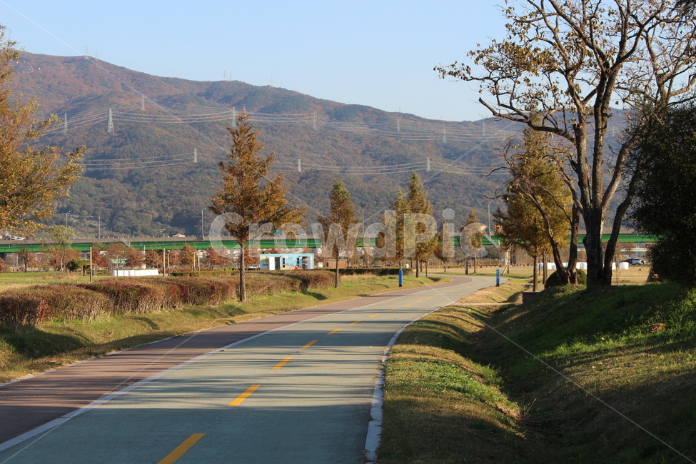 road,도로,tree,나무,plant,식물,fir,전나무,abies,식물,자연,plants,nature,나무,trees,wood