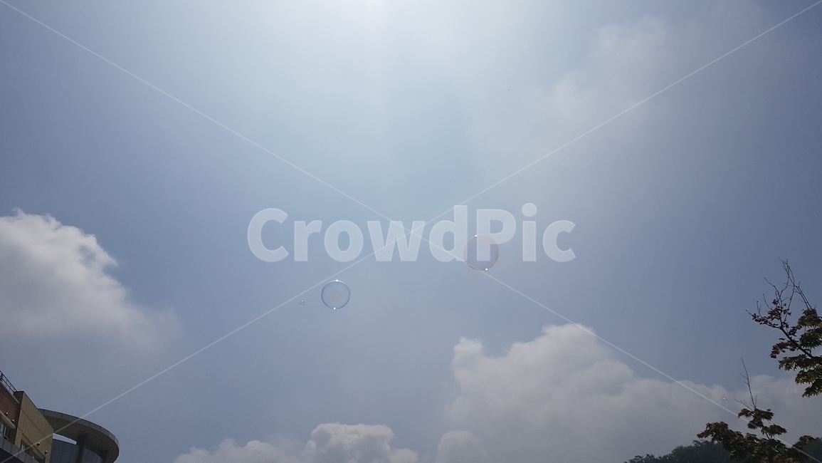 하늘,구름,비눗방울,sky,cloud,bubbles,자연,풍경,nature,landscape