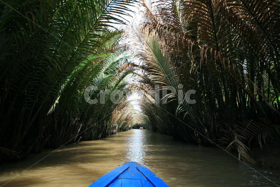 밀림,보트,목선,강,수풀,파란색,파란배,파란목선,열대우림,river,boat,blue,jungle,asia,보트투어,boartour