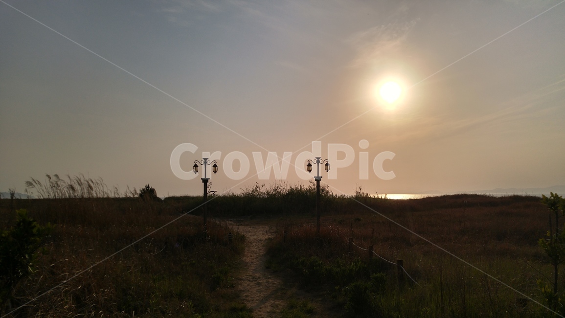 sunlight,햇빛,nature,자연,바다,sea,outdoors,옥외,자연,풍경,nature,landscape,light,빛,flare,플레어