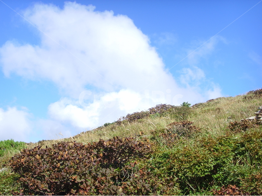 산,가을,가을산,영남알프스,갈대,신불산,영축산,가지산,구름,파란하늘,청명한하늘,자연,풍경,nature,landscape,한국자연풍경,한국자연경관,korea nature landscape,slope,경사,outdoors,옥외