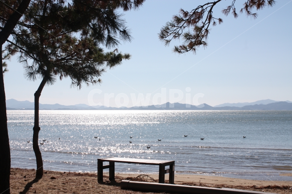 여행,자연,여름,율포해수욕장,휴가,바다,바닷가,해수욕장,자연,풍경,nature,landscape,한국자연풍경,한국자연경관,korea nature landscape,해변,바다,beach,sea,water,물,furniture,가구,bench,벤치