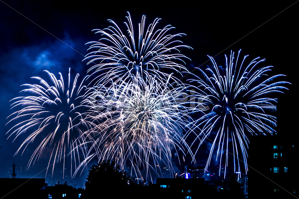 여의도불꽃축제,불꽃축제,불꽃놀이,불꽃,폭죽,outdoors,옥외,firework,야경,밤,풍경,nightscape,night,landscape,축제,행사,festival,carnival,event,nature,자연