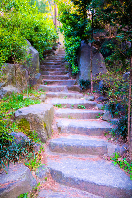 돌계단,산,자연,상승,정원,판석,flagstone,garden