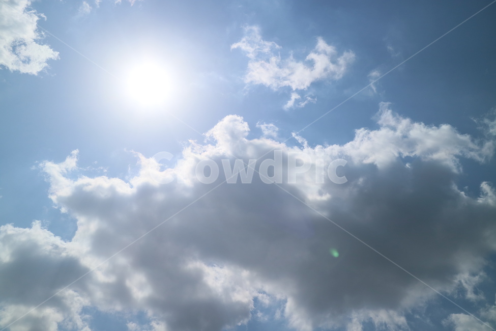 nature,자연,outdoors,옥외,sunlight