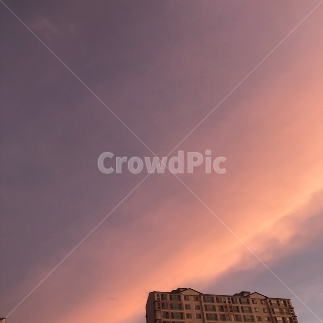 새벽,하늘,구름,보라색,sky