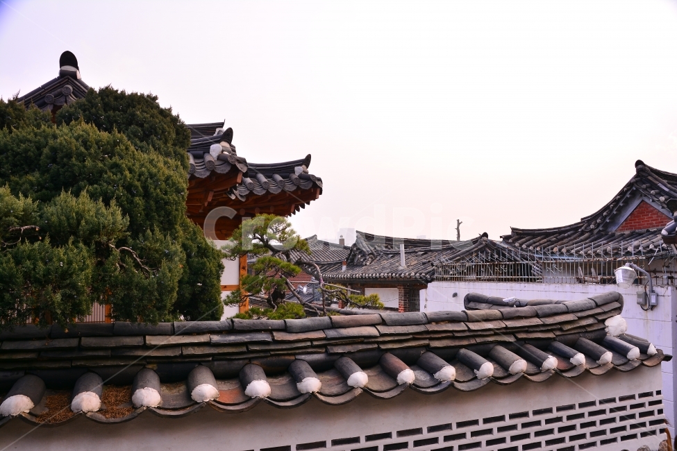 한옥,전통,북촌,하우스,기와집,서울,명소,관광지,투어,민속,보존,역사,HISTORY,HOUSE,SEOUL,TOUR,CULTURE,TRADITIONAL,KOREA,한국,가볼만한곳,담장,벽,처마,나무,우드,곡선,한국의미,아름다움,건축,장인,집,주거지,도시,풍경,city,landscape,한국도시풍경,한국도시경관,korea cityscape,한국전통,한국문화,korean traditional,korean culture,roof,지붕