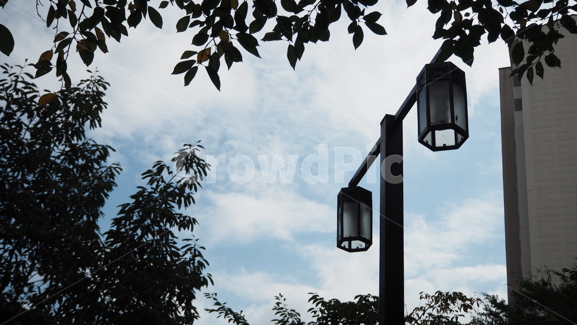 전신주,가로등,하늘,구름,날씨,streetlight,streetlamp,sky,cloud