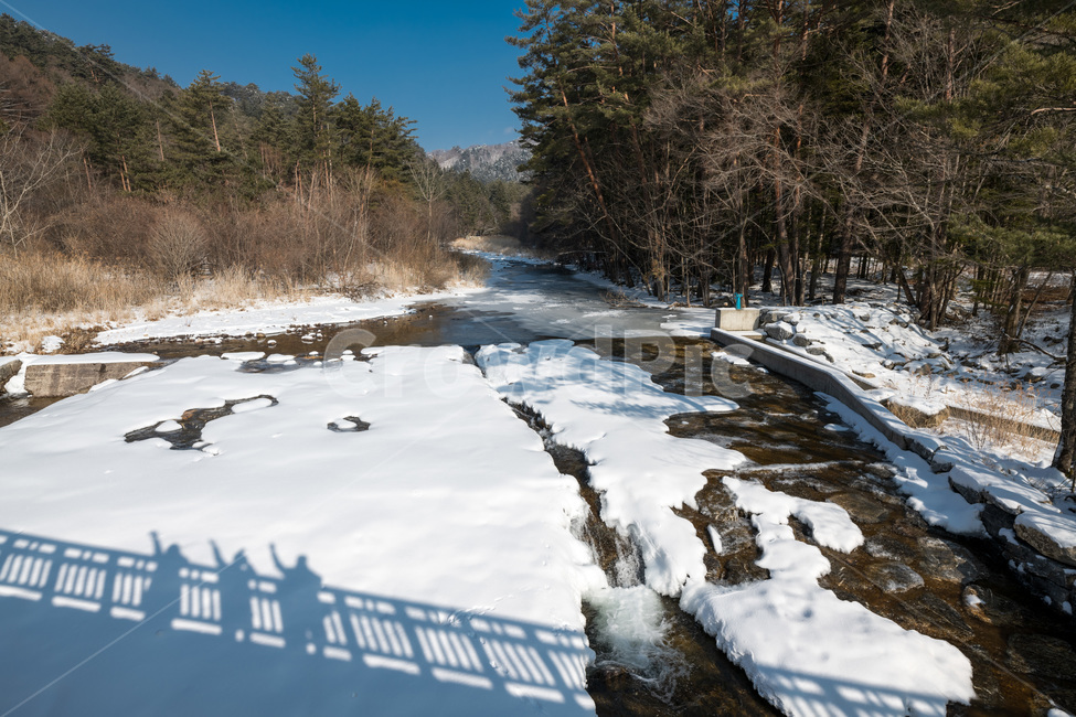 nature,자연,눈,그림자,실루엣,snow,물