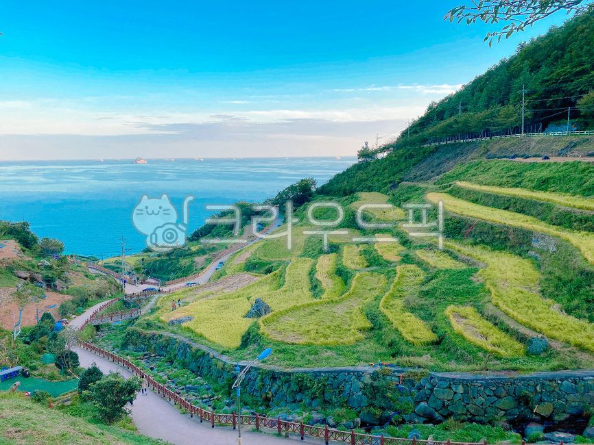 남해,다랭이마을,계단식논,바다,논,관광지,옥외,nature,자연,outdoors