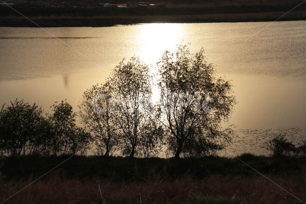 강변,자연,풍경,일몰,역광,자연,풍경,nature,landscape
