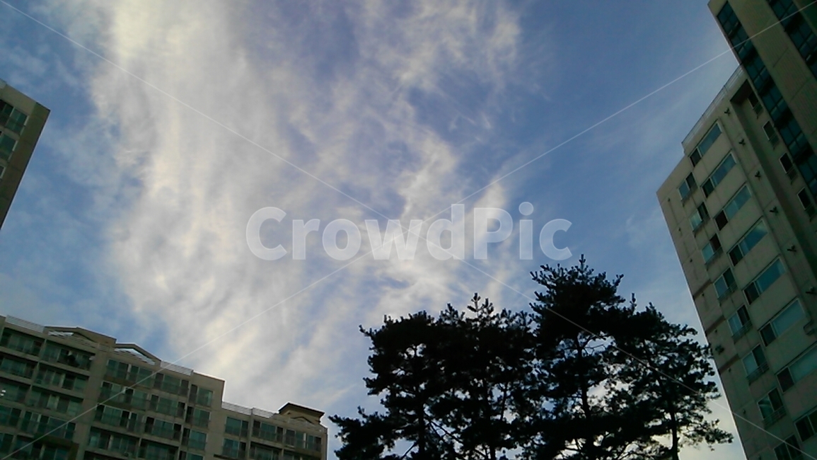 나무,하늘,구름,tree,sky,cloud,아파트,apartment