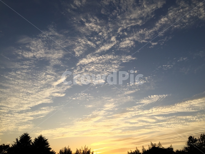 nature,sunlight,자연,햇빛,sky,하늘,노을,자연,풍경,nature,landscape