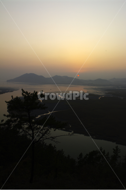 순천만,일몰,석양,노을,풍경,하늘,자연,풍경,nature,landscape,light,빛,flare,플레어,outdoors,옥외,sunlight,햇빛