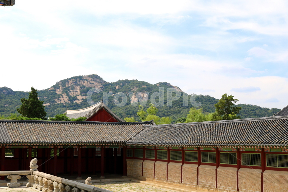 경복궁,고궁,기와지붕,서울,광화문,옛날집,산,나무,풍경,한국전통,한국문화,korean traditional,korean culture,랜드마크,landmark,tourist attraction,한국랜드마크,한국관광지,한국명소,korea landmark,korea tourist attraction,건축물,건물외관,exterior,building,structure,architecture,construction