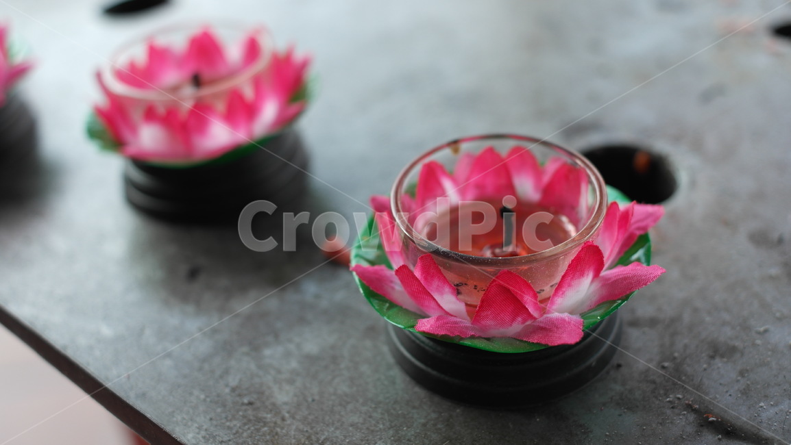 연꽃,촛불,부처님오신날,석가탄신일,lotus,candlelight