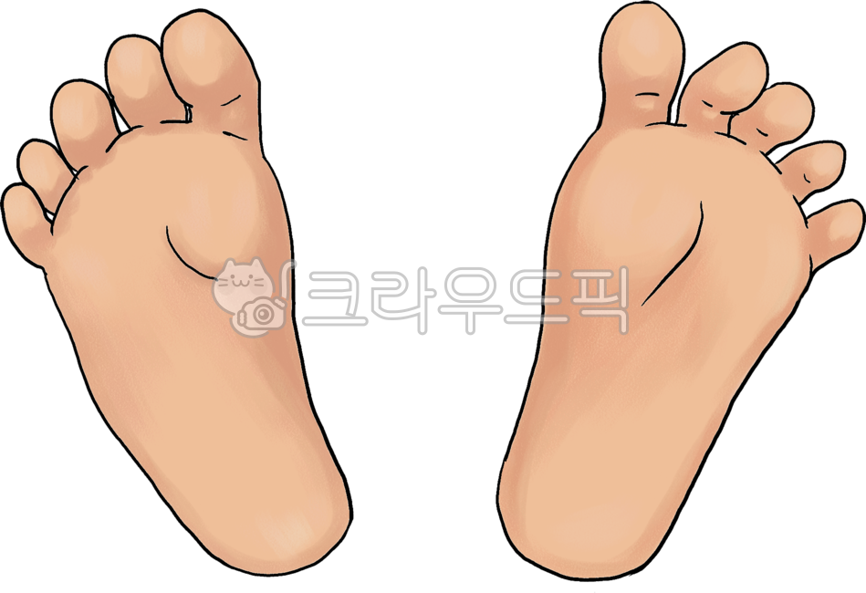 발,foot,sole,발바닥,양발,양쪽발,발모양,bothfeet,왼발,오른발,왼쪽발,오른쪽발,왼쪽발바닥,오른쪽발바닥,양발바닥,양쪽발바닥,신체,몸,사람,부분
