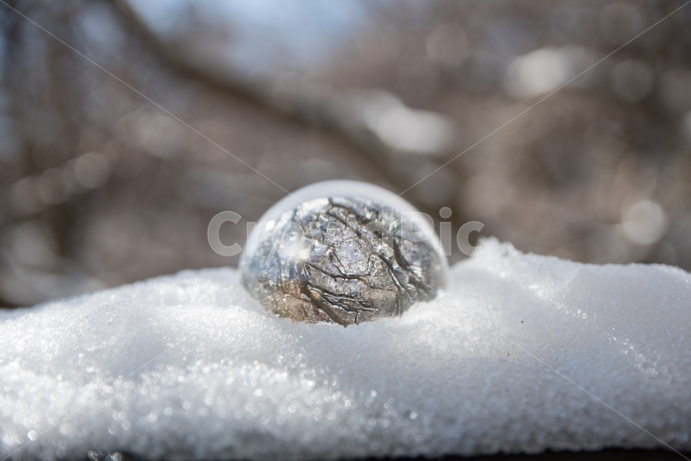 풍경사진,겨울,겨울풍경,구슬,자연,겨울,계절,winter,season,사물,물건,오브젝트,thing,object,matter